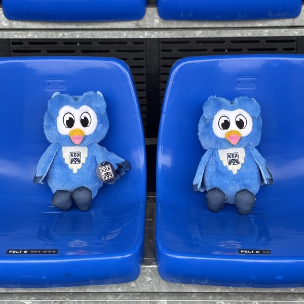 Ugla kosebamse - Bilde 6