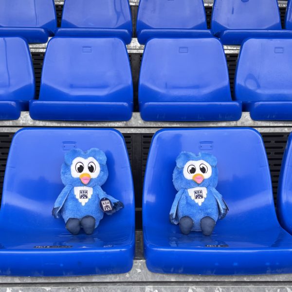 Ugla kosebamse - Bilde 5